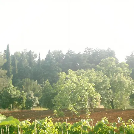 Lino Appartement Rovinj
