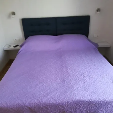 Lino 罗维尼