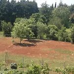 Apartamento Lino