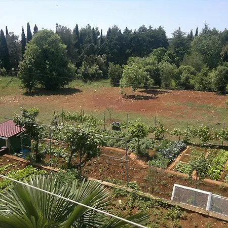 Διαμέρισμα Lino Ρόβινι